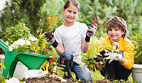 Kinder brauchen immer wieder Erlebnisse in der Natur