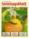 Ausgabe 34/2024